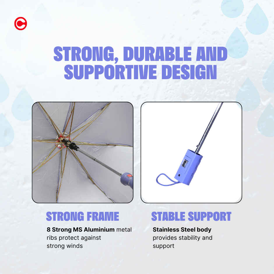 Citizen 2 Fold 21 Inch Purple Mono Silver Umbrella