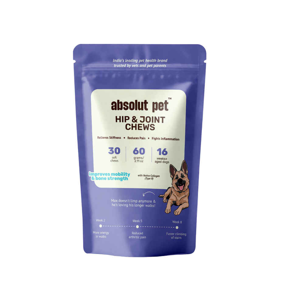 Absolut Pet Hip and Joint Supplements for Dogs | Chews for Mobility & Bone Strength | Glucosamine, Chondroitin & Collagen | 30 Chews