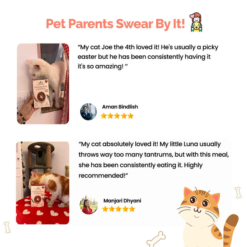 Goofy Tails Himalayan Trout & Anchovies Cat and Kitten Meals | Cat and Kitten Wet Food