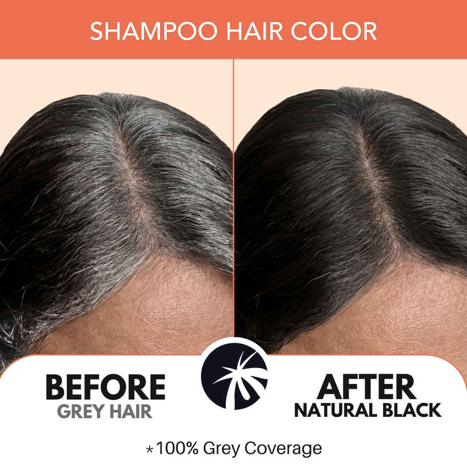 Paradyes Coconut Fix Shampoo No Ammonia Hair Color | Natural Black 1.0