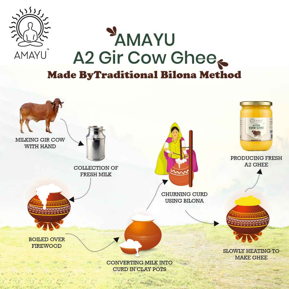 AMAYU Premium A2 Gir Cow Ghee | Bilona Churned