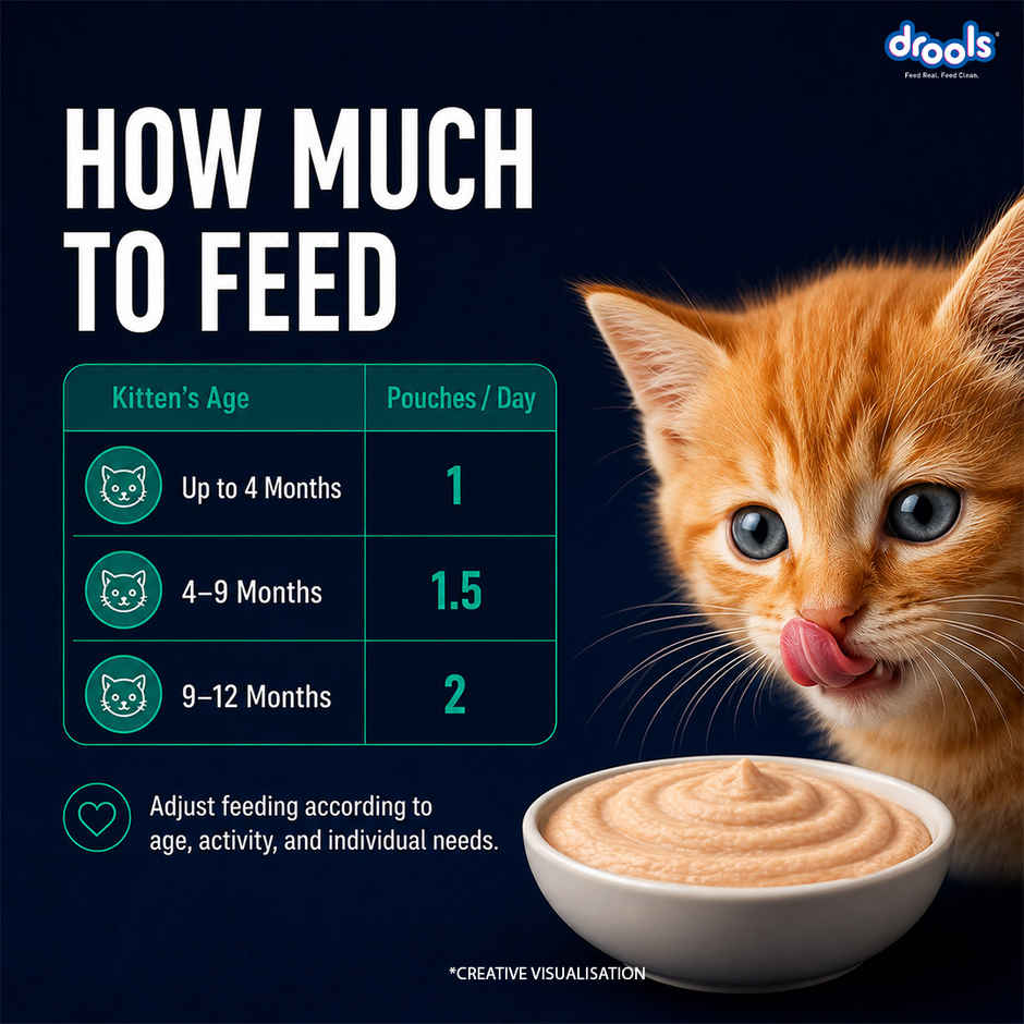 Drools Tuna Mousse Kitten Wet Food