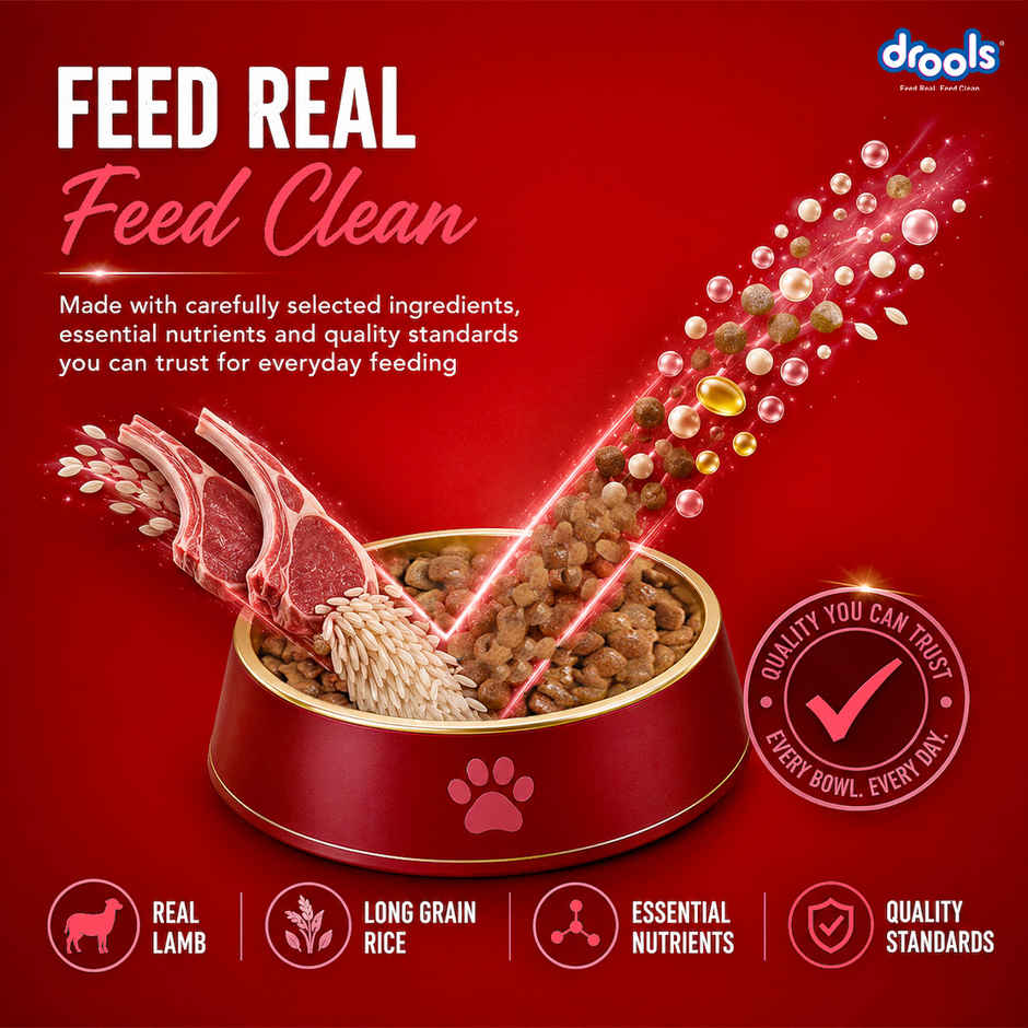 Drools Lamb and Rice Adult Dry Dog Food 1 kg
