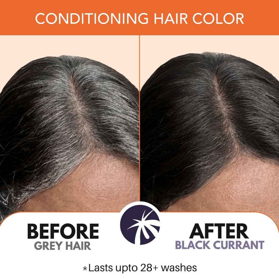 Paradyes Pure Creme Care No Ammonia Long Lasting Hair Color | Black Currant 1.2