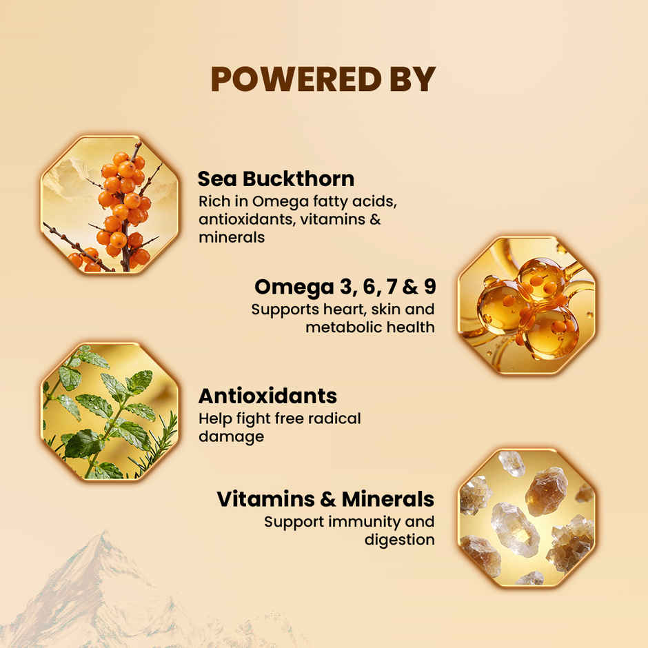 Wow Life Science Himalayan Sea Buckthorn Berry Pulp Concentrate