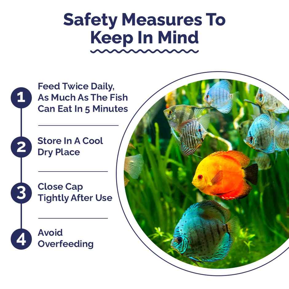 Intan Bits - Fish FOOD for All - Discus | Danios | Barbs | Rainbow