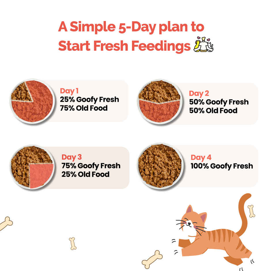 Goofy Tails Himalayan Trout & Anchovies Cat and Kitten Meals | Cat and Kitten Wet Food