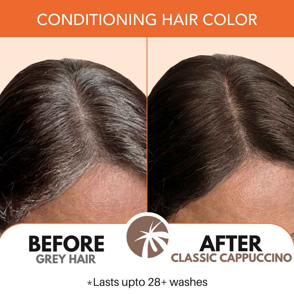 Paradyes Pure Creme Care No Ammonia Hair Color | Classic Cappuccino 4.0