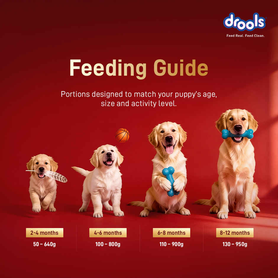 Drools Meat and Milk Puppy Dry Dog Food 1 kg