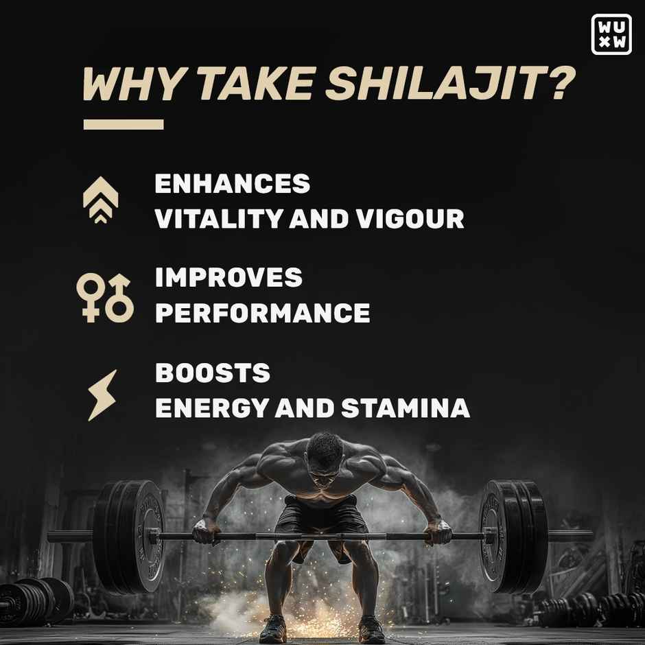 What's Up Wellness Shilajit Gummies | Gold Dust