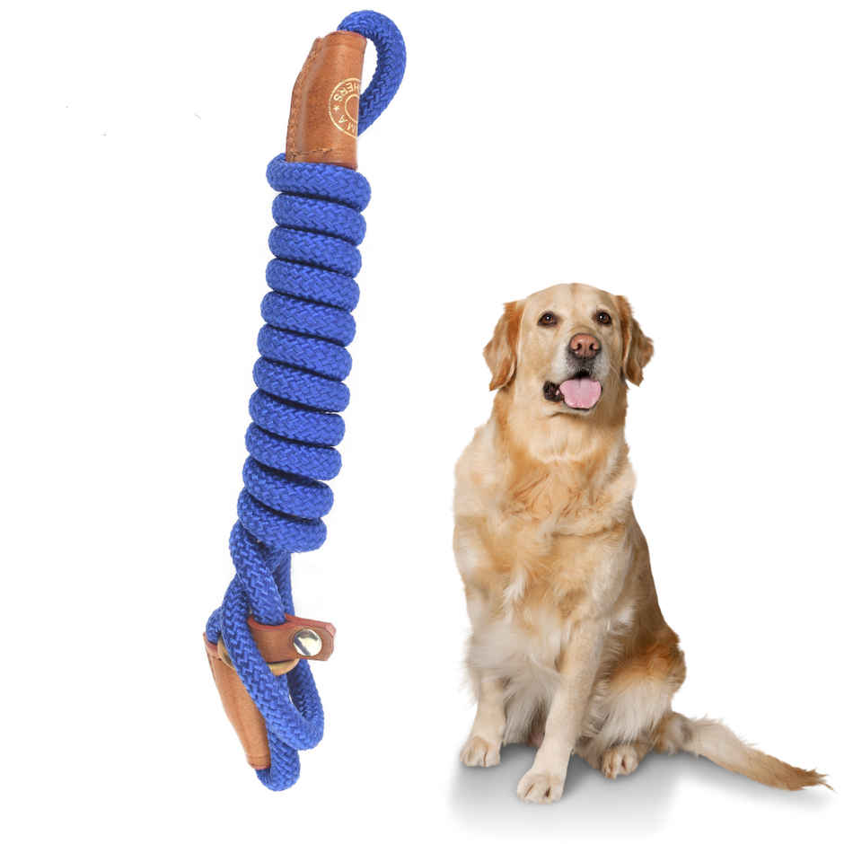 Vama Leathers British Style Slip Training Leash Heavy Duty Rope With Brass Ring-1 Cm X 5 Feet-Blue