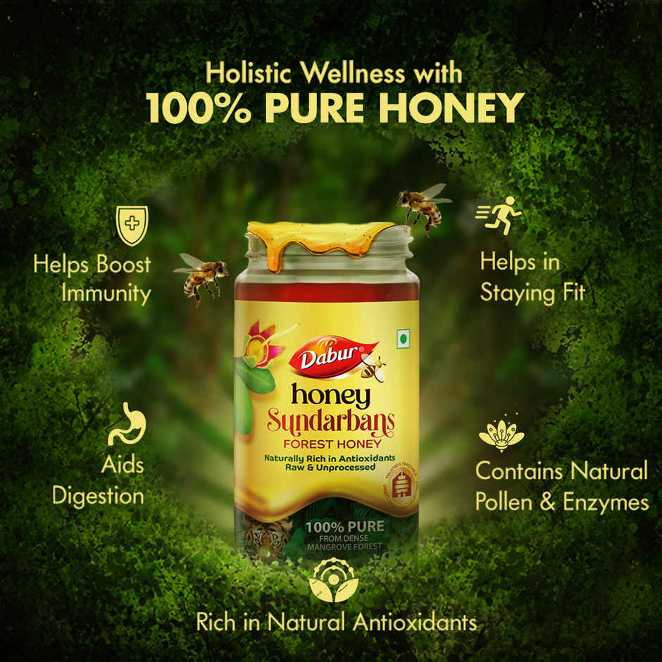 Dabur Honey Sundarbans, Absolutely Pure Wild Forest Honey - Rich in Antioxidants