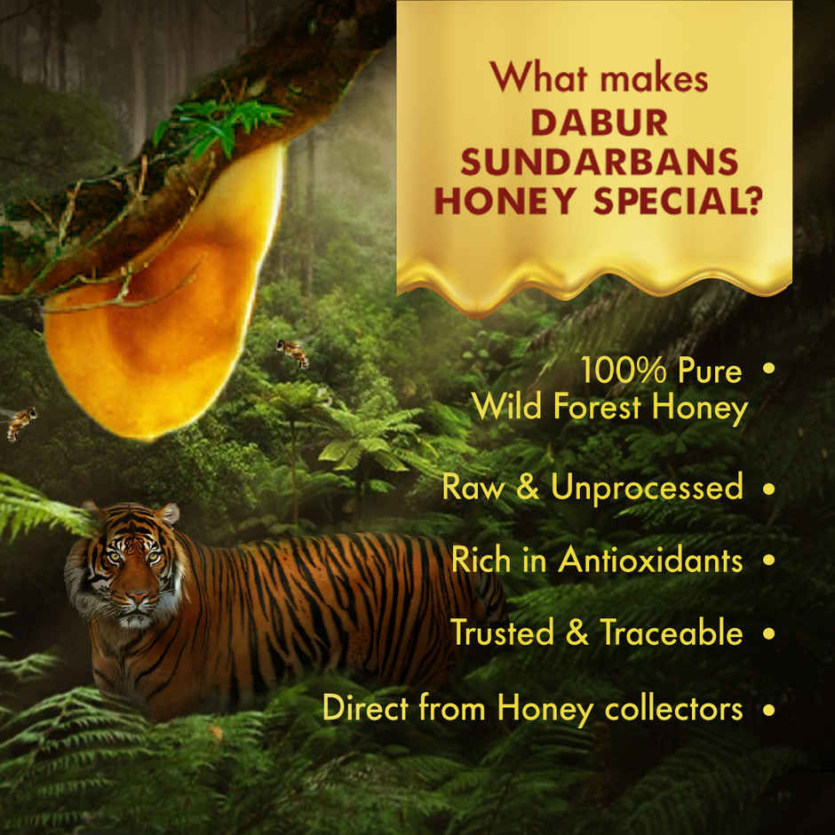 Dabur Honey Sundarbans, Absolutely Pure Wild Forest Honey - Rich in Antioxidants
