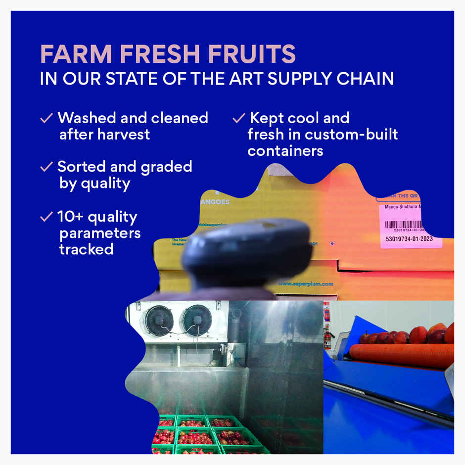 Superplum Dragon Fruit Red