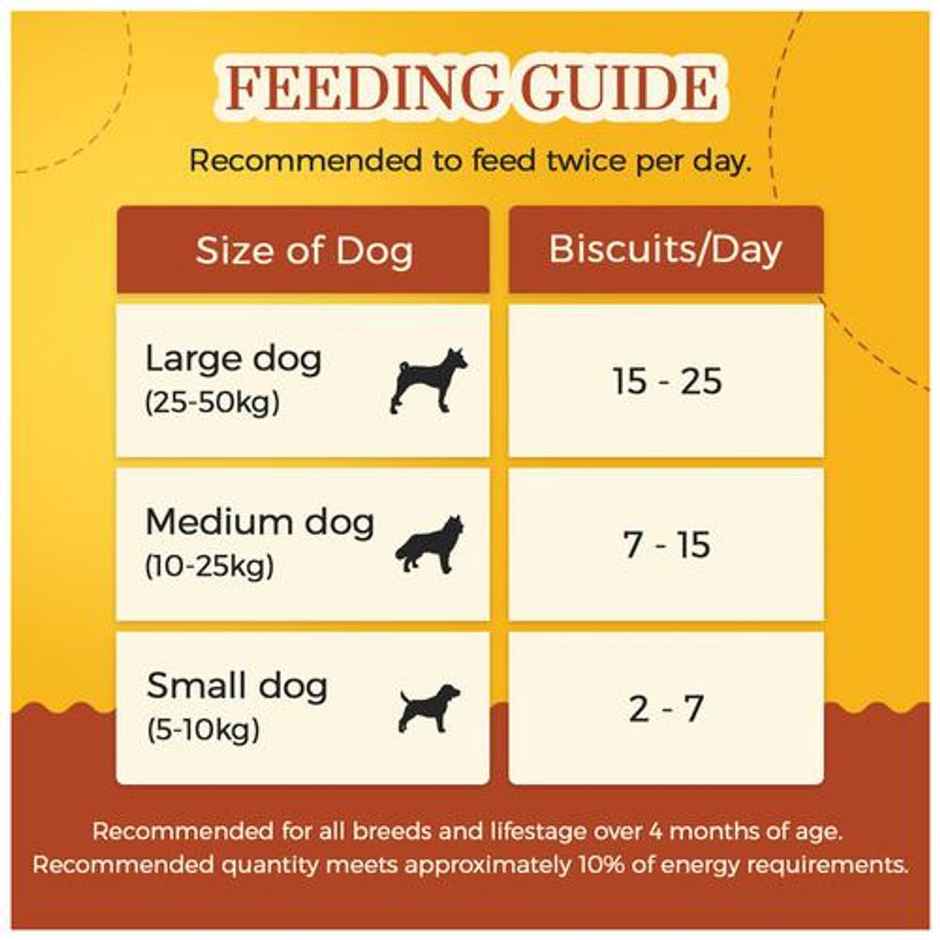 Dogsee Gigabites Cookies Pumpkin & Cinnamon