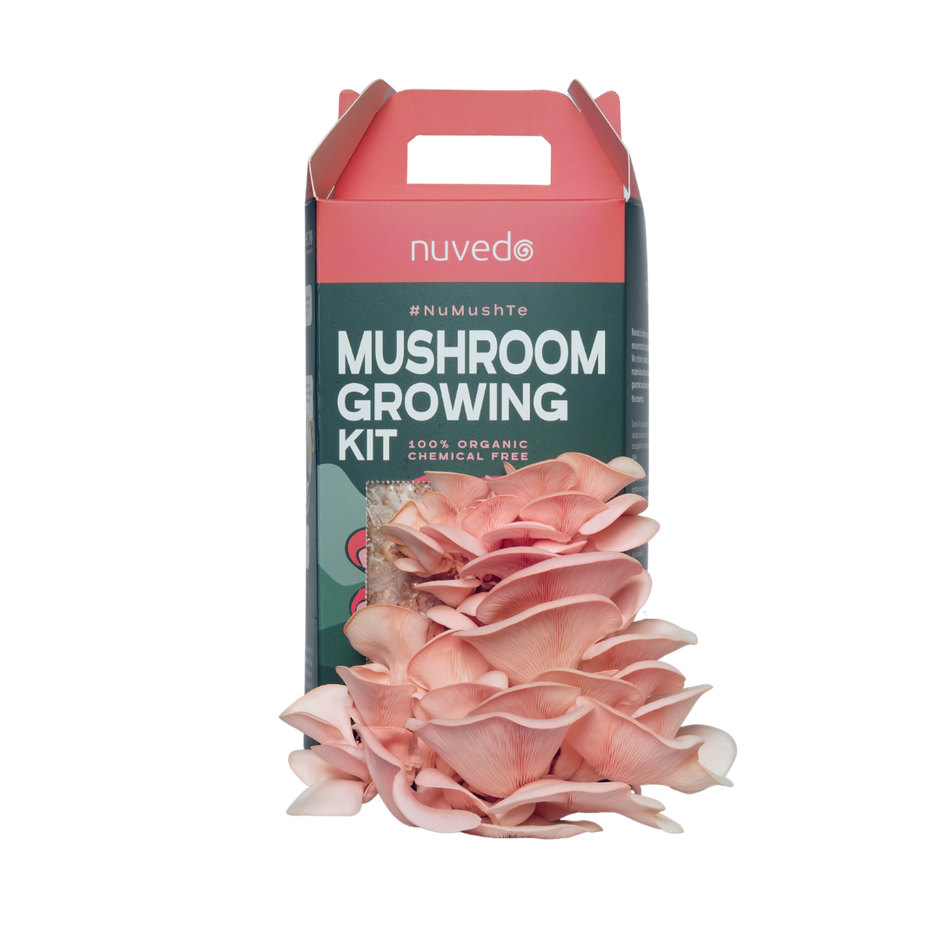 Nuvedo Pink Oyster Mushroom Growing Kit