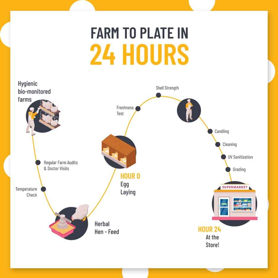 Eggoz Protein Rich Farm Fresh White Eggs Combo