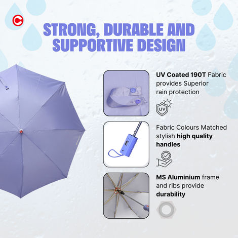 Citizen 2 Fold 21 Inch Purple Mono Silver Umbrella