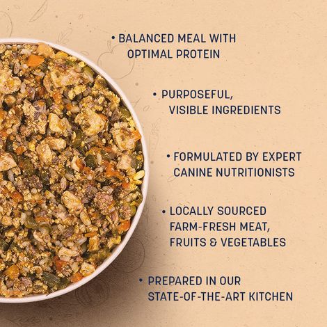 HUFT Sara's Wholesome Dog Food - Chicken & Brown Rice Packet