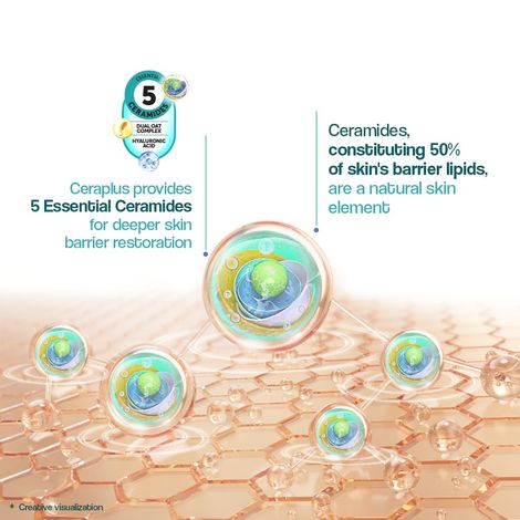 Venusia Ceraplus Lotion For Dry Skin 5 Essential Ceramides For Deep Moisturization & Barrier Body