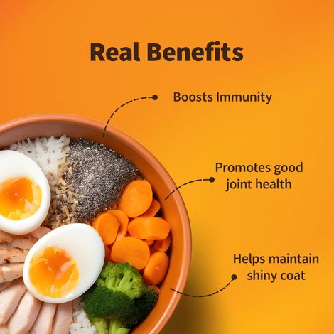 Nutriwag Fresh Chicken, Rice & Vegetables Wet Dog Food Packet