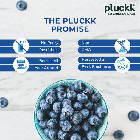 Pluckk Fresh Frozen Imported Blueberry Natural | Non GMO | Rich in Antioxidants | Superfood Snack