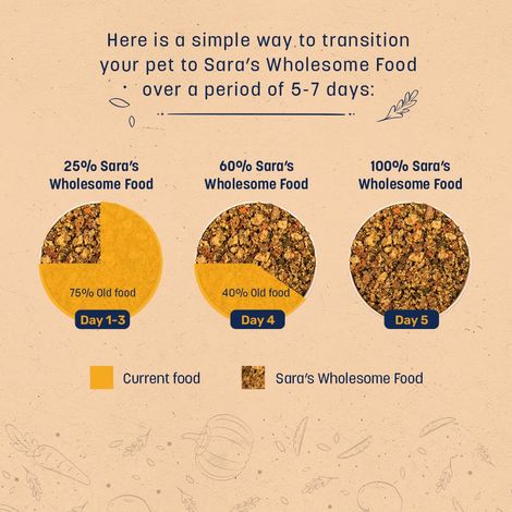 HUFT Sara's Wholesome Dog Food - Chicken & Brown Rice Packet