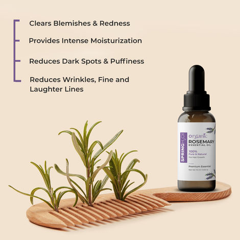 Spring H2O Rosemary Organic Essential Oil