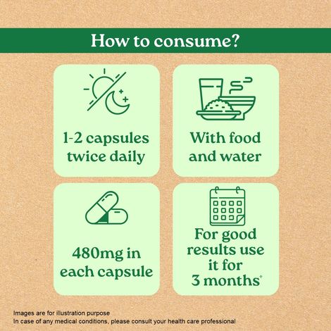 Organic India Triphala Bottle