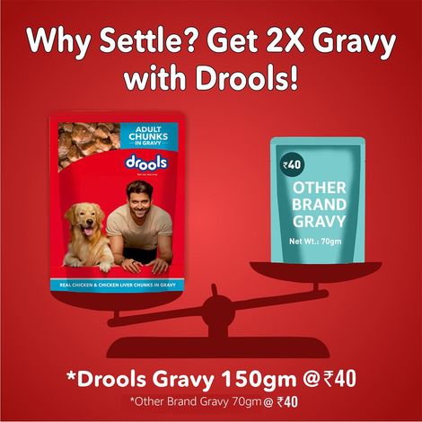 Drools Adult Wet Dog Food - Real Chicken & Liver Chunks in Gravy