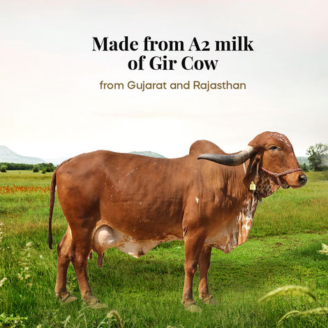Himalayan Natives A2 Gir Cow Ghee