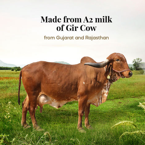 Himalayan Natives A2 Gir Cow Ghee | Jar