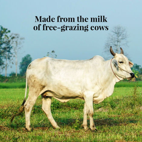 Himalayan Natives Organic Bilona Cow Ghee Jar