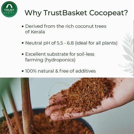 TrustBasket Cocopeat Block - Expands to 75 L | Organic Growing Medium for Plants & Planters