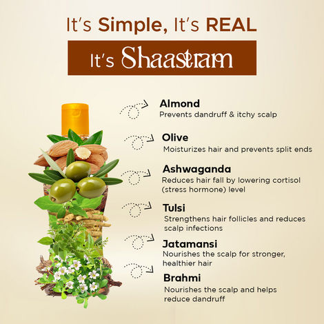 Shaastram Olive & Almond Ayurvedic anti dandruff hair oil