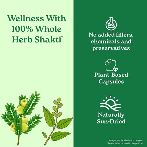 Organic India Triphala Bottle