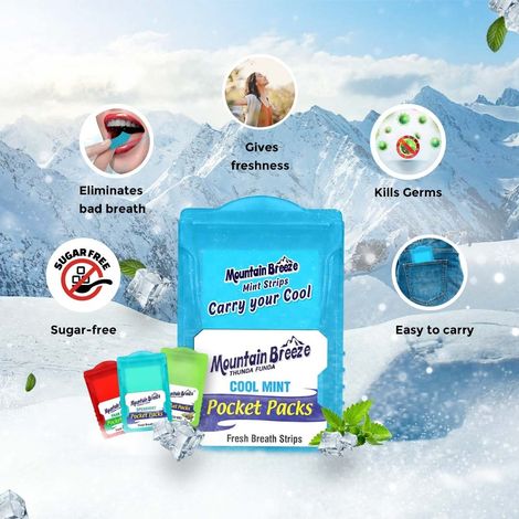 MOUNTAIN BREEZE Sugar Free Strip | Coolmint