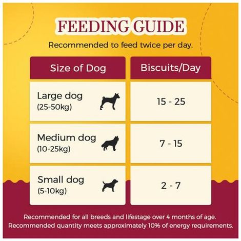 Dogsee Gigabites Cookies Apple & Peanut