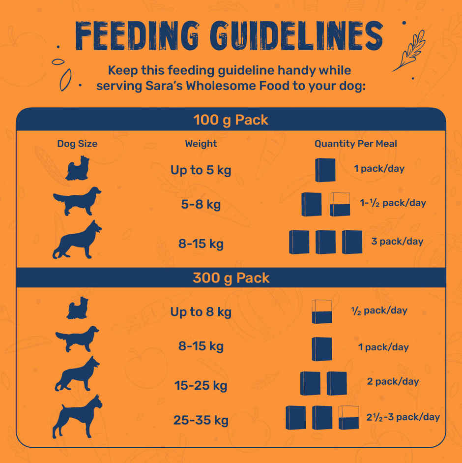 HUFT Sara's Wholesome Food Chicken Biryani Dog Food Pack