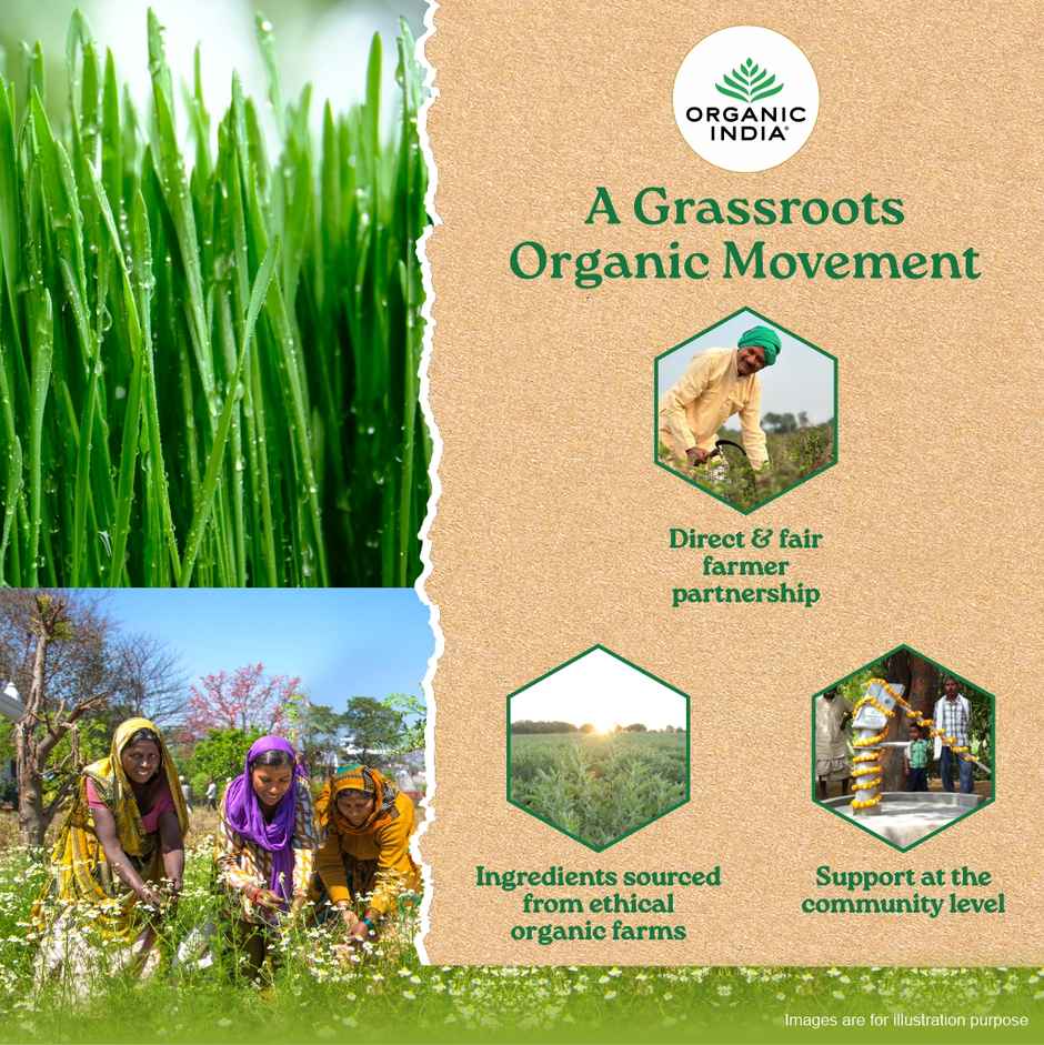 A TATA Product - Organic India Wheat Grass, Supports Immunity & Boosts Stamina