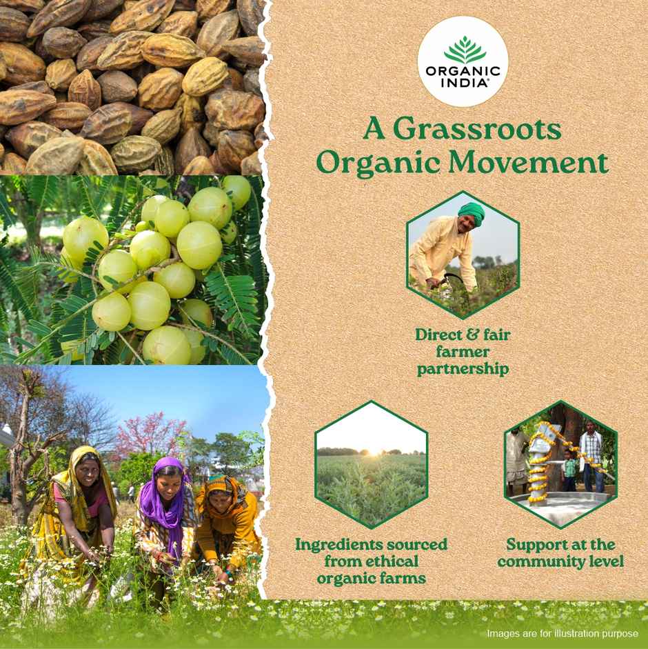 A TATA Product - Organic India Triphala Capsules - 60 Caps, Supports Immune System