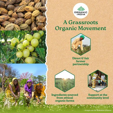 Organic India Triphala Bottle