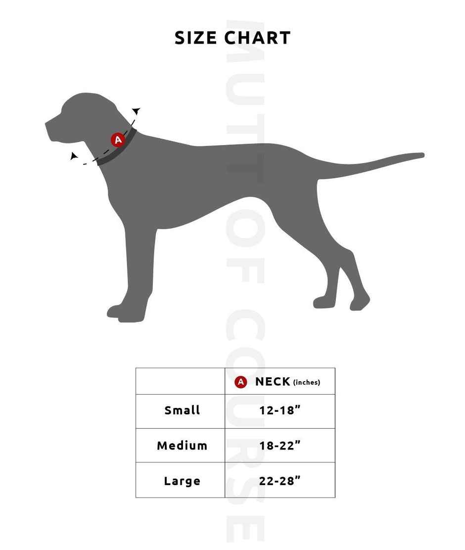 Mutt Of Course Happy Birthday To Me Bandana M