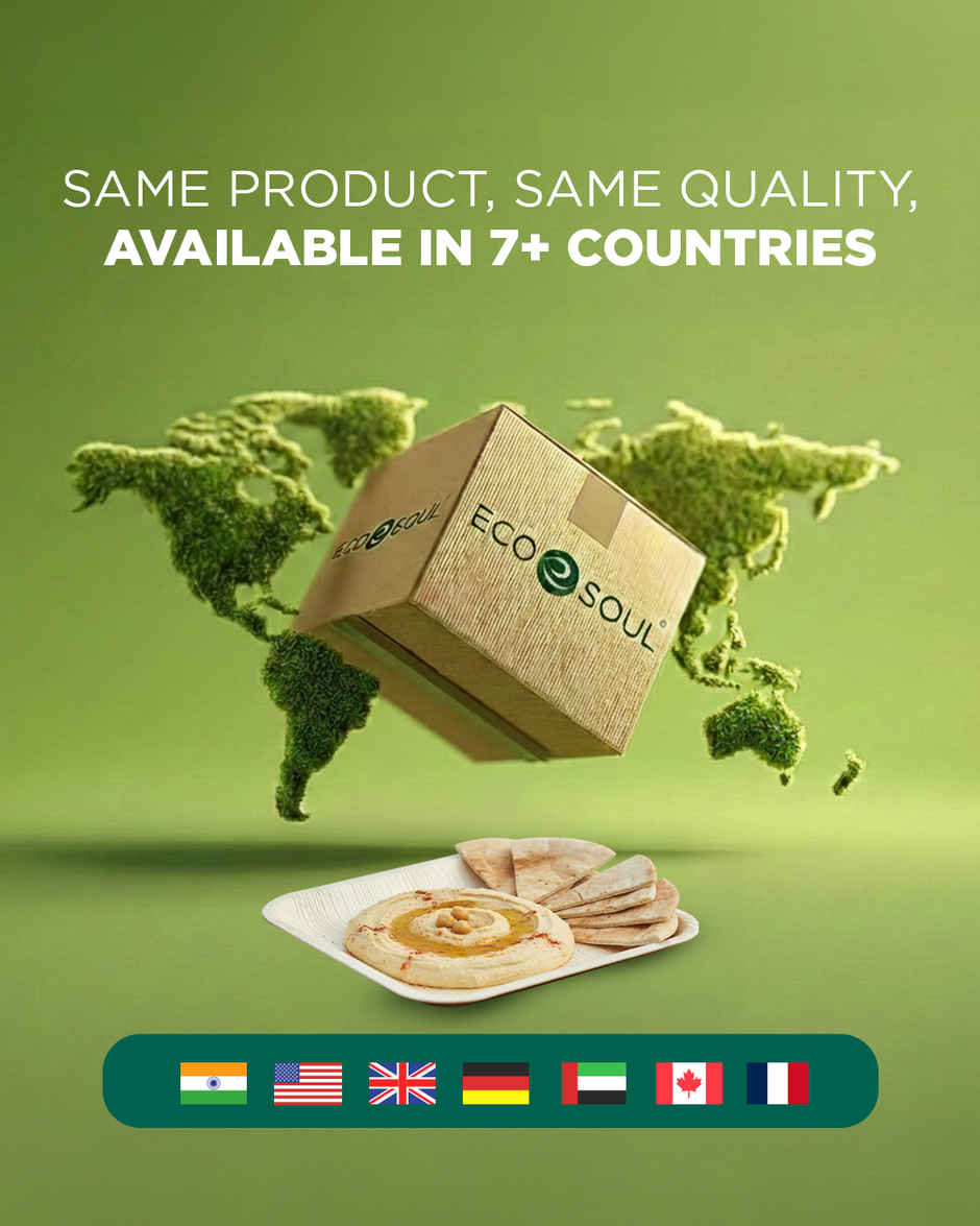 ECO SOUL | Palm Leaf Disposable Plates | 10 Inch | Square | 10 Count