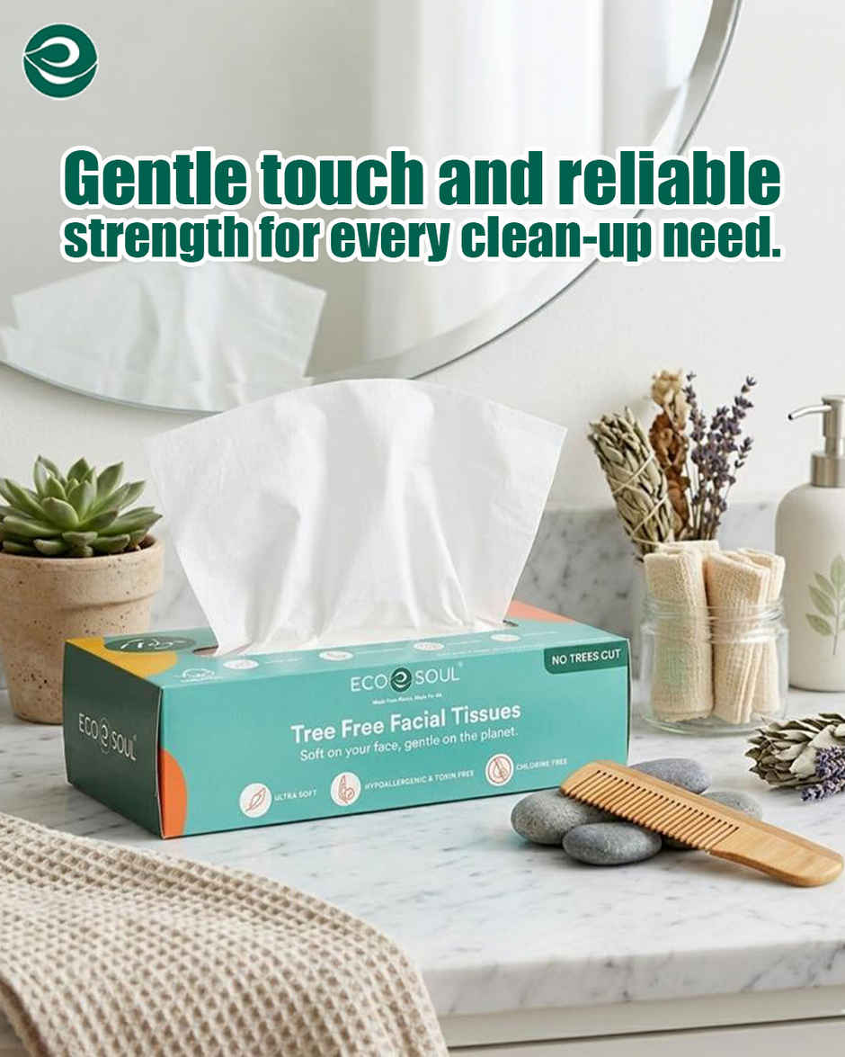 ECO SOUL 2Ply | Facial Tissue Paper Box | 100 Count | Carbox Tissue