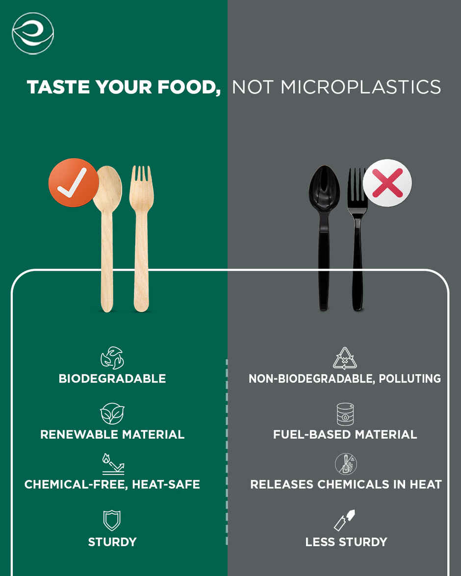 Eco Soul 160mm | 50 Count | Disposable Spoon and Fork