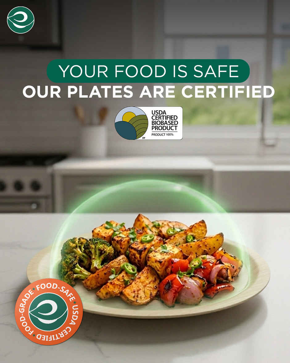 ECO SOUL | Palm Leaf Disposable Plates | 12 Inch | Round | 10 Count