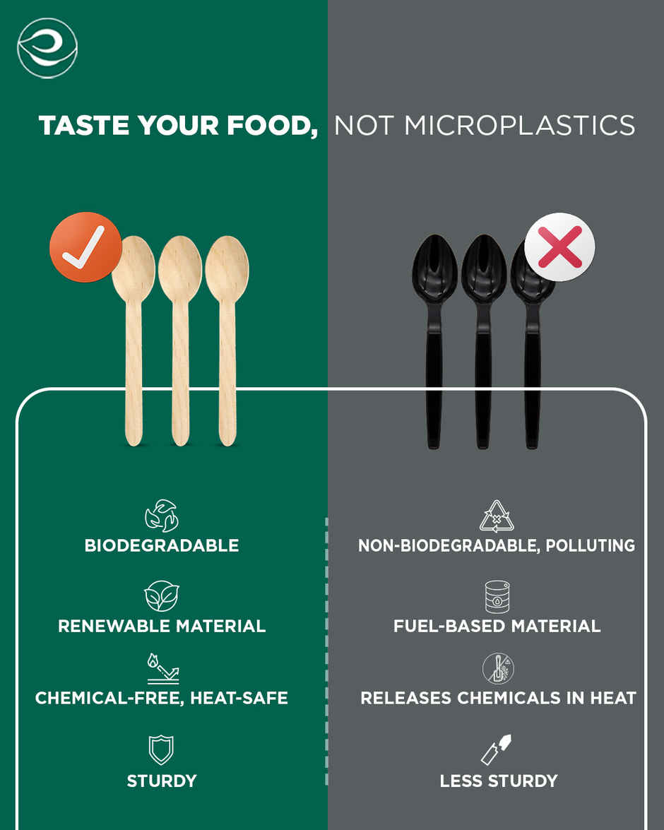 Eco Soul 160 mm | 50 Count | Disposable Spoon