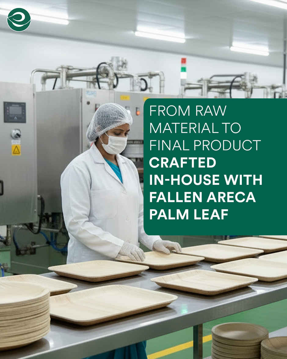 ECO SOUL | Palm Leaf Disposable Plates | 12 Inch | Round | 10 Count