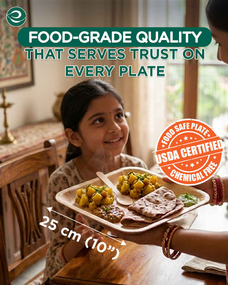 ECO SOUL | Palm Leaf Disposable Plates | 10 Inch | Square | 10 Count